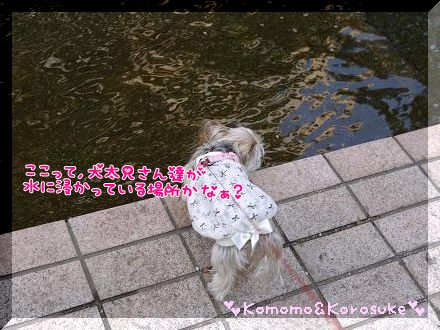 水場