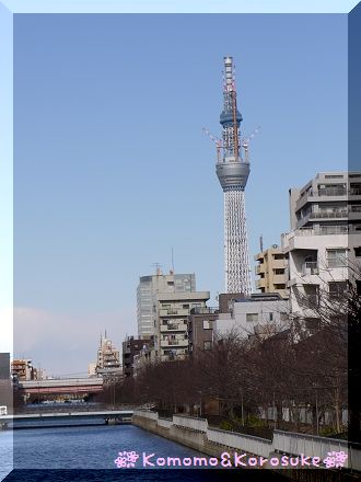 スカイツリー