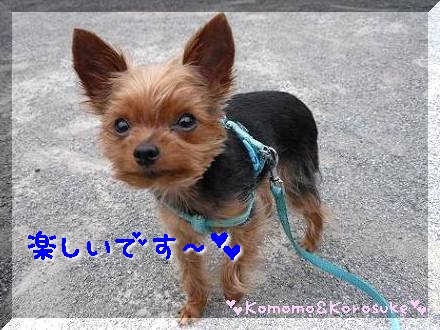 楽しい～