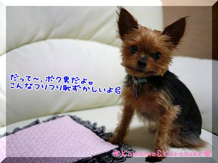 恥ずかしい