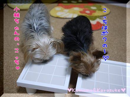 テーブル