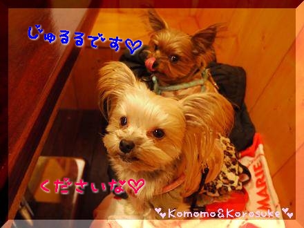 じゅるるる