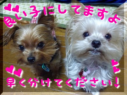 わくわく