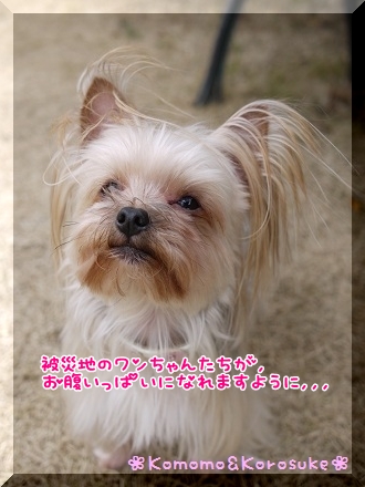 願い