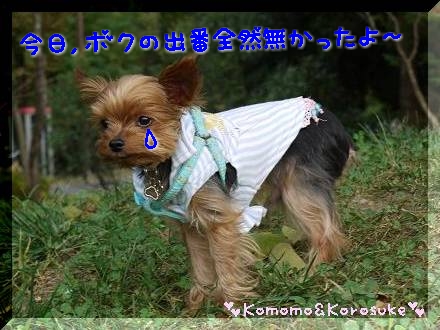 えーん