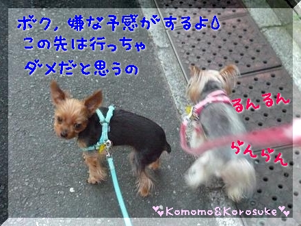 嫌な予感