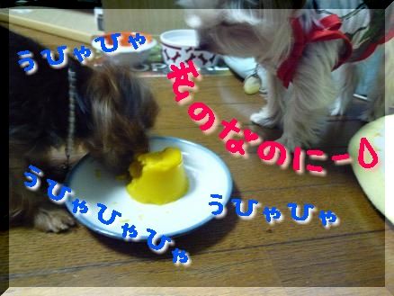 かぼちゃプリン