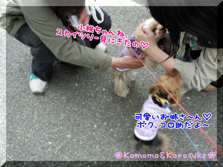 ご挨拶