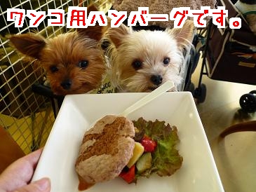 ハンバーグ