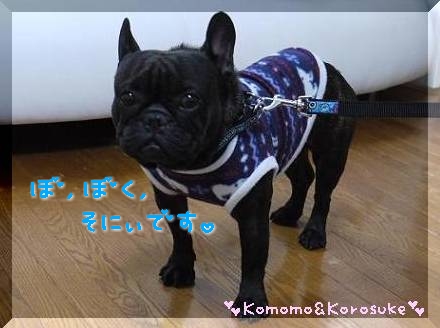 そにぃ君