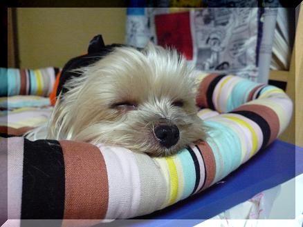 Ｚｚｚ
