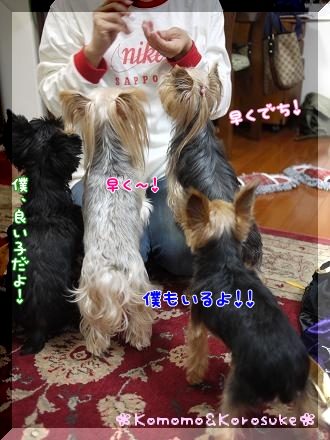 くださいな