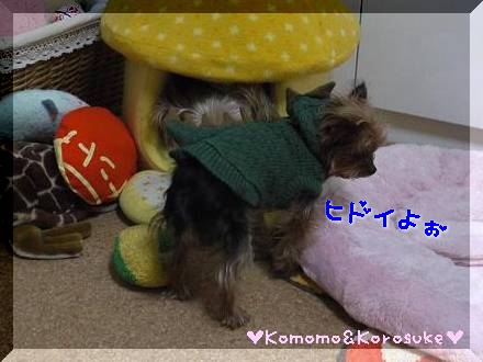 ヒドイよ