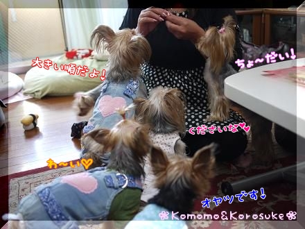 くださいな