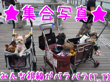 集合写真
