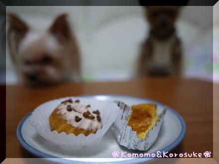 ケーキ