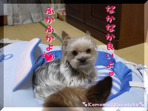 ふかふか