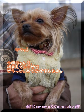 きりっ