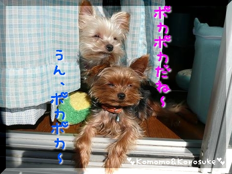 ポカポカだね～