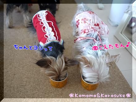 ヨシ