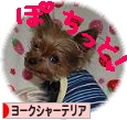 ぽちっと！