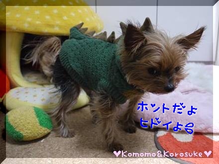 ヒドイよ