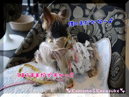 うきうき