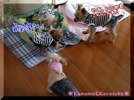 遊ぼう