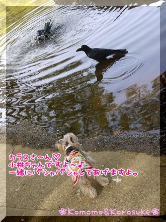 こんにちわ～