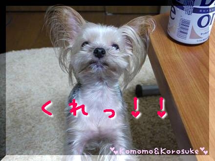 くれっ！