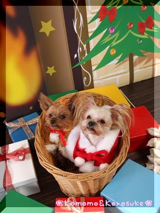 クリスマス