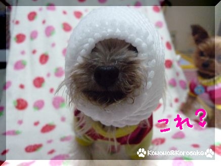 アレ