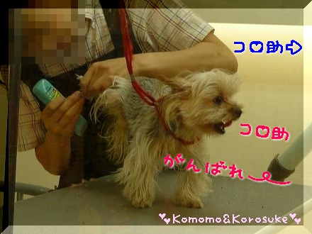 がんばれ～