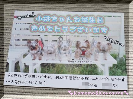 ありがとう