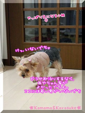 けっ