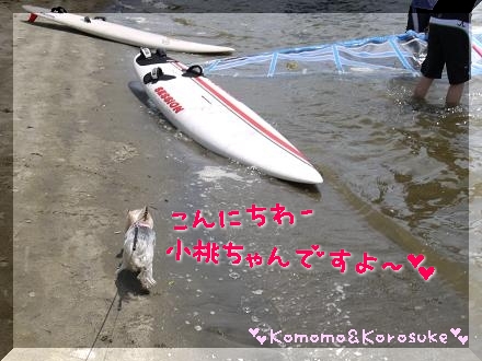こんにちわー