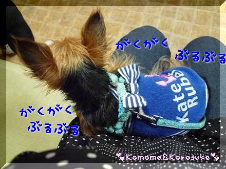 がくぶる