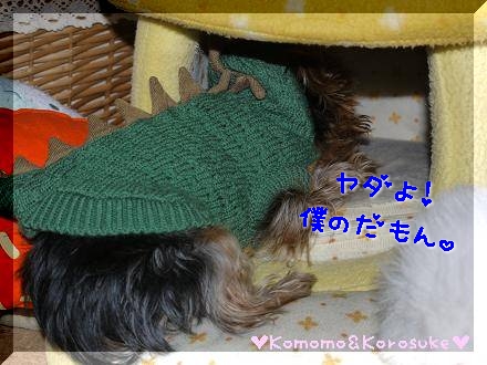 ヤダ