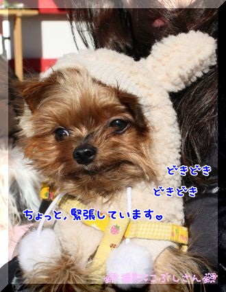どきどき