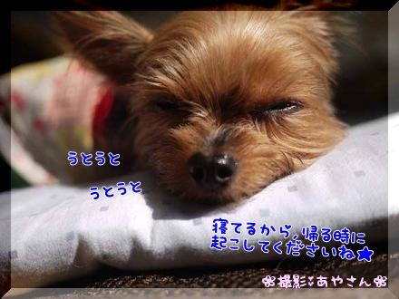 うとうと