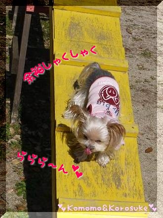 余裕しゃくしゃく