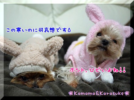ひどいね