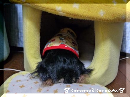 うまうま