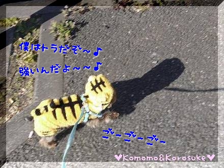 ごーごーごー