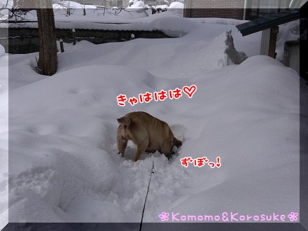 大桃ちゃん