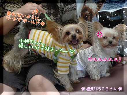 ホールド中