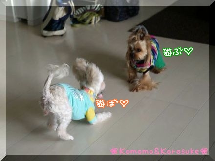 遊ぼ