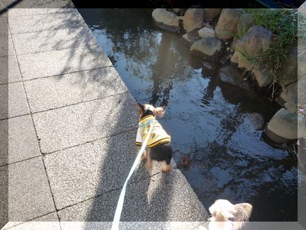 うきうき