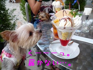 パフェ