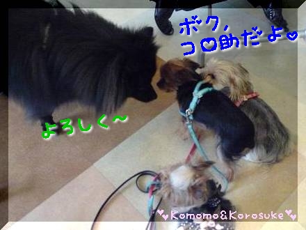 よろしくー